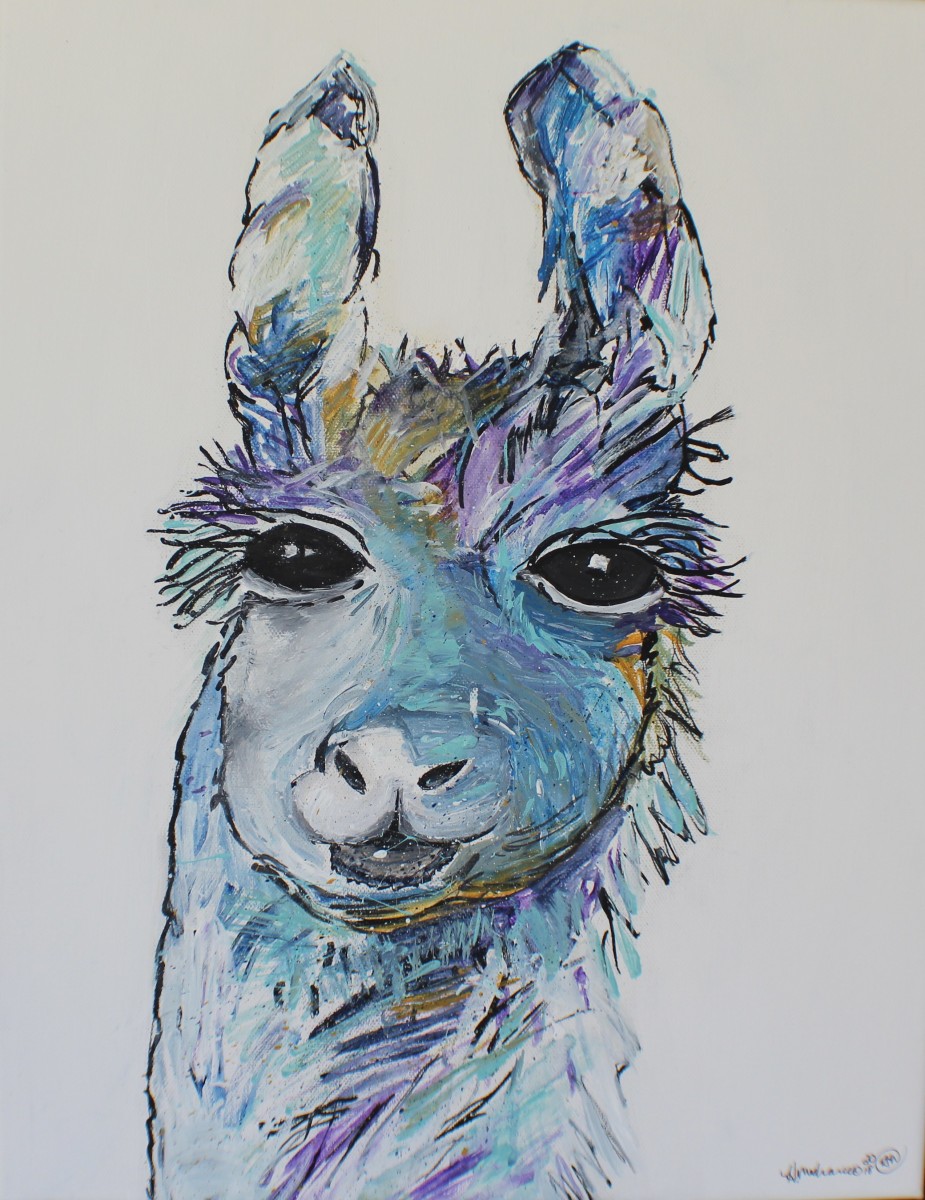 One llama by Heather Medrano 