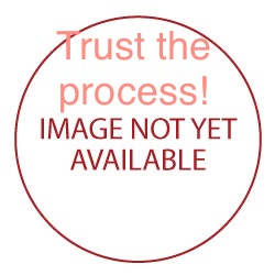 Golden by Heather Medrano 