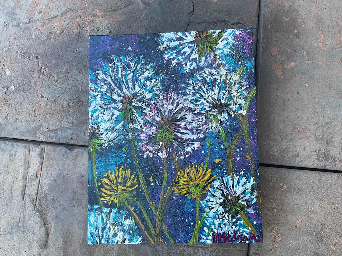 Night Skies Wishes by Heather Medrano 