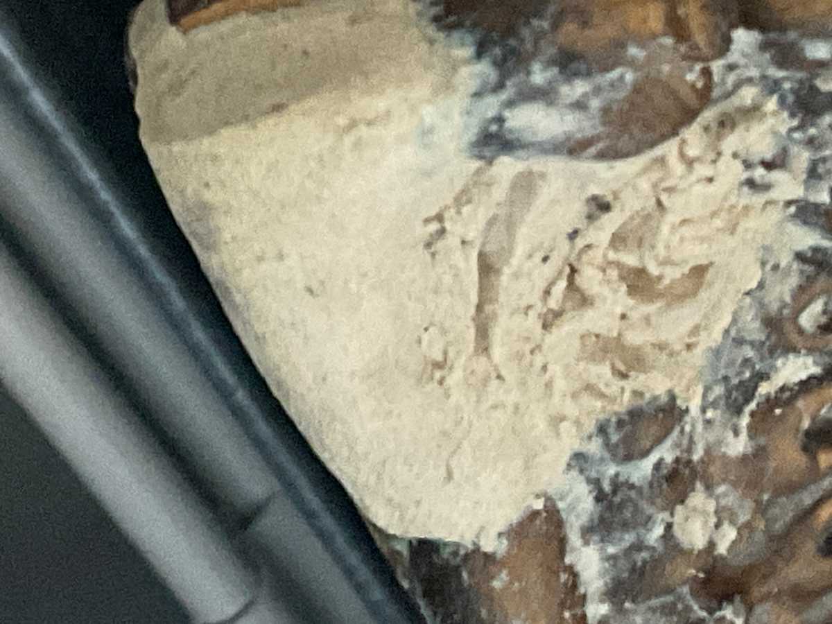 Koi pond and buddha commission (title still to be determined) by Heather Medrano 