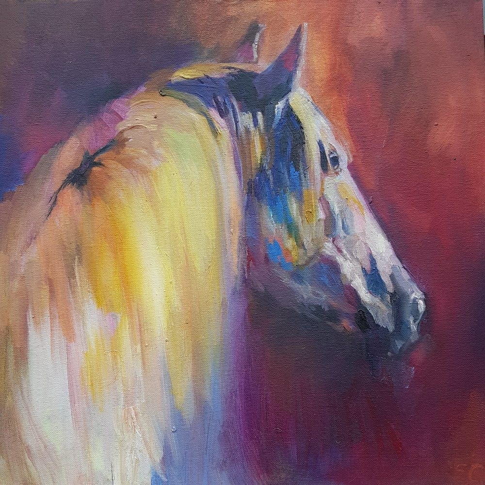 Andalusian Horse by Sue Gardner  