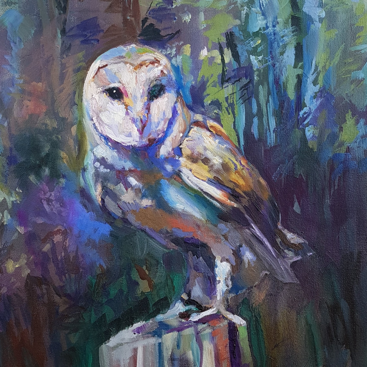 Night owl by Sue Gardner  