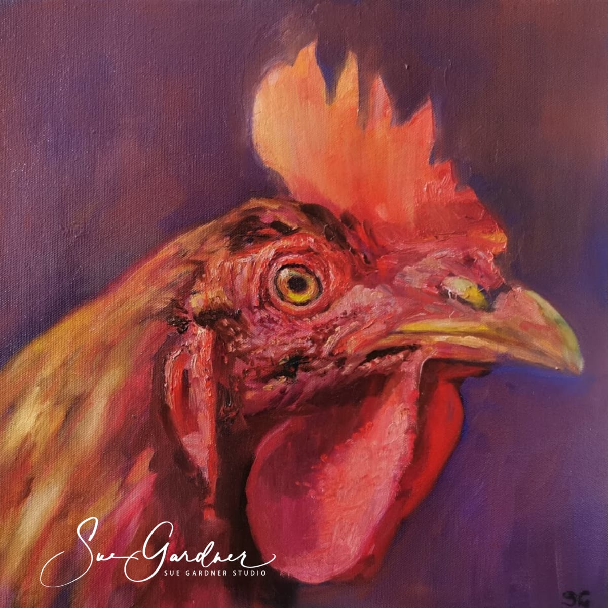 Red Rooster by Sue Gardner 