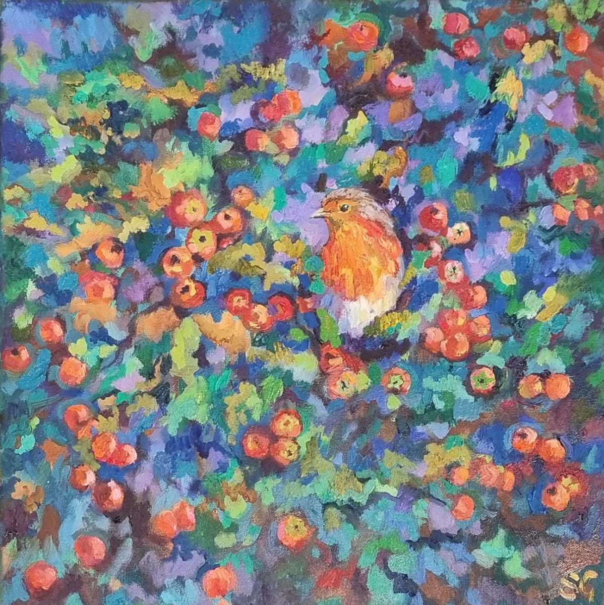 Robin - Bespoke oil painting by Sue Gardner 