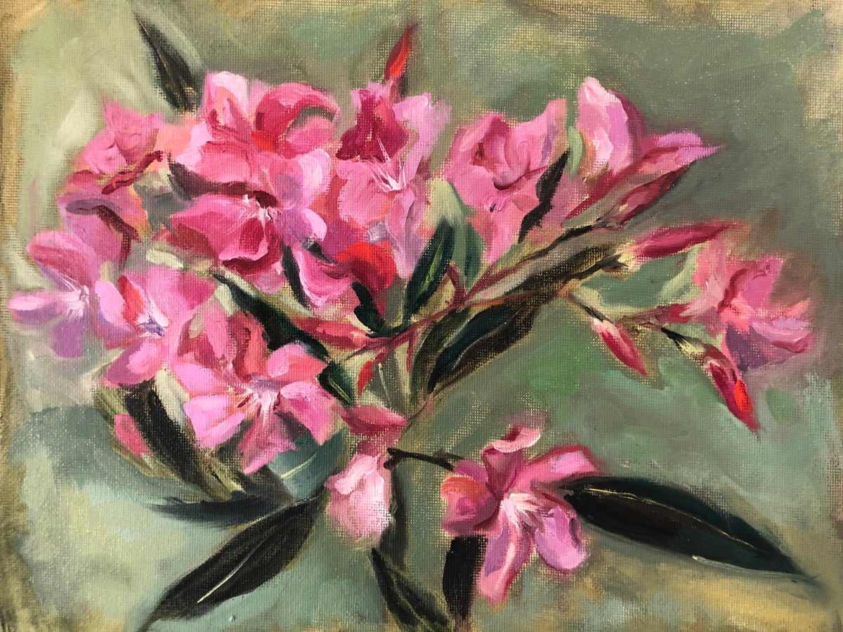 Oleander by Ivana Ignjacevic 