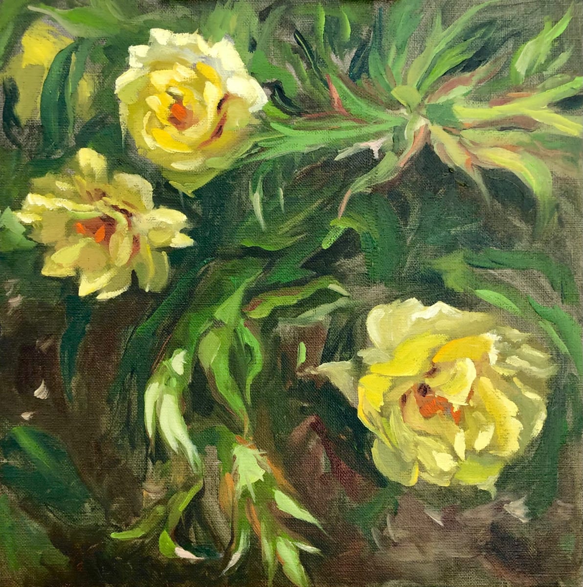 Yellow Peonies 