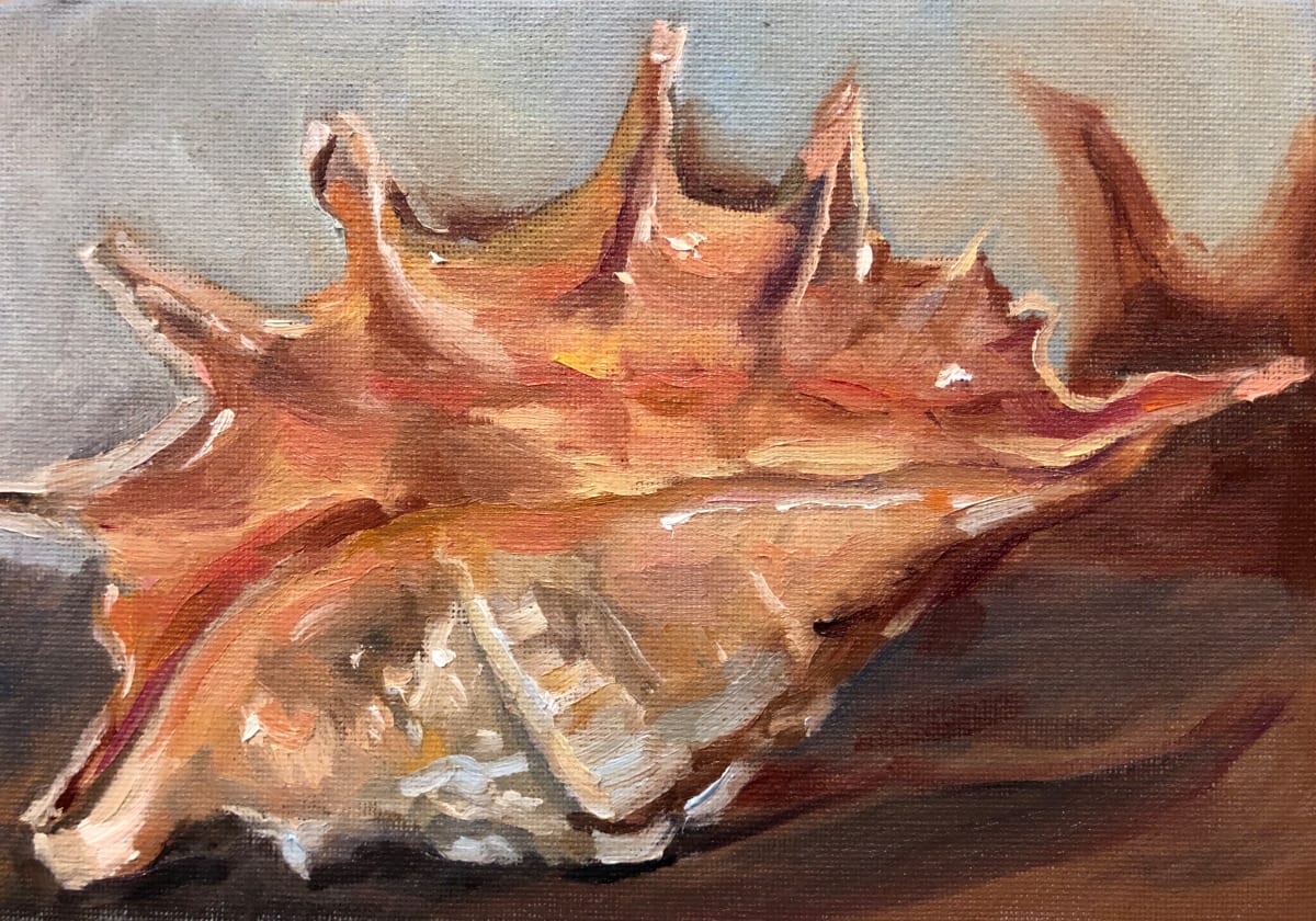 The Conch by Ivana Ignjacevic 