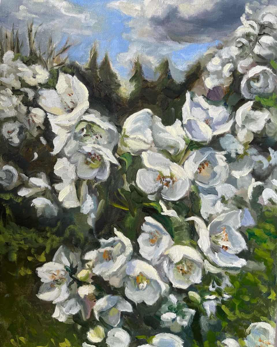 Apple Blossom by Ivana Ignjacevic 