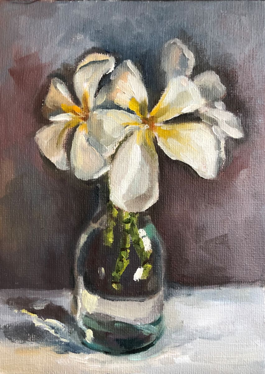 Frangipani in Glass Vase 