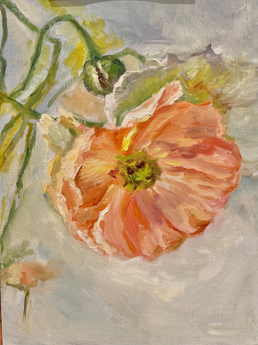 Poppy by Ivana Ignjacevic 