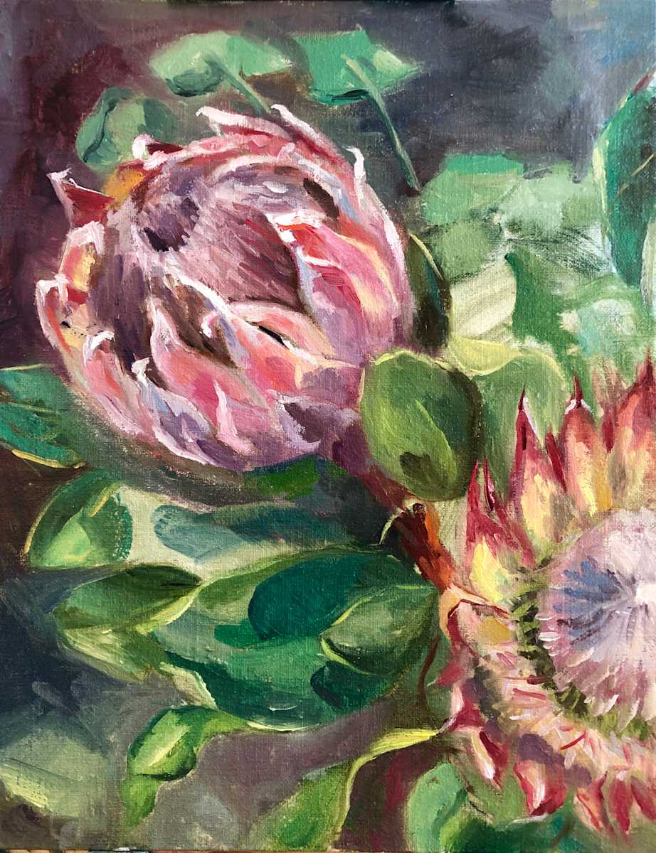Protea by Ivana Ignjacevic, Image 1.