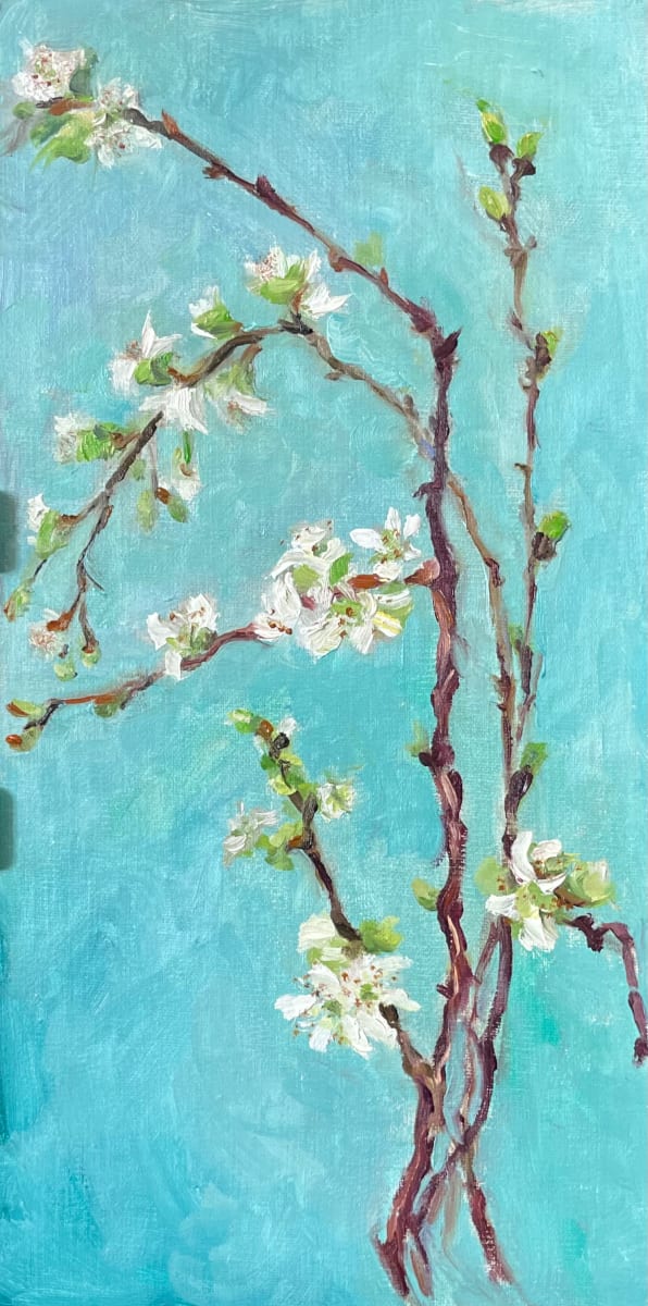 Cherry Blossoms by Ivana Ignjacevic 