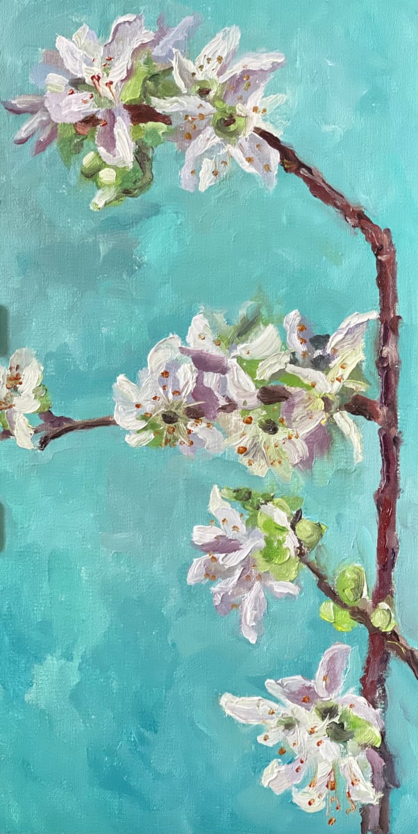 Cherry Blossoms 2 by Ivana Ignjacevic Okereke 