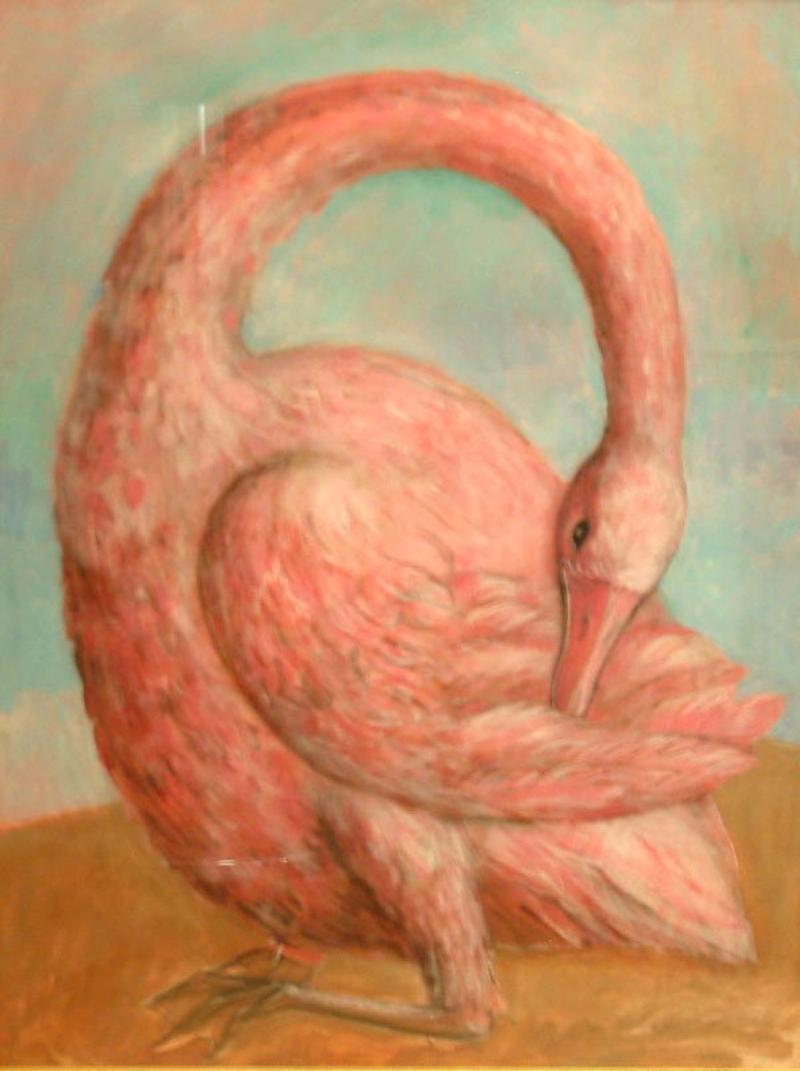 SWAN by COLIN GARLAND 