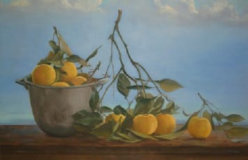 SEVILLE ORANGES by JUDY MACMILLAN 