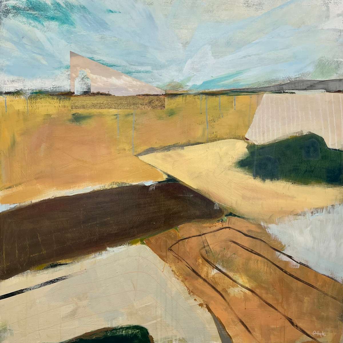 shifting landscape by Carolyn Hyde 