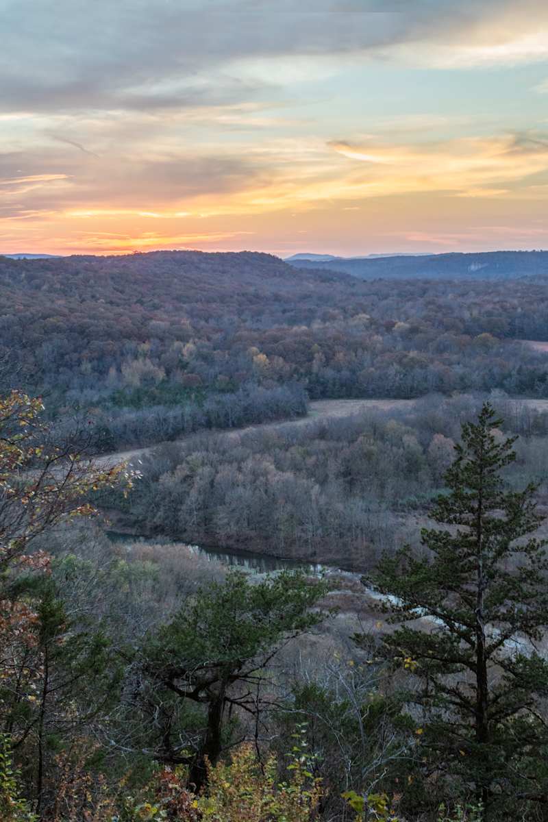 Buffalo Blues by Y. Hope Osborn 
