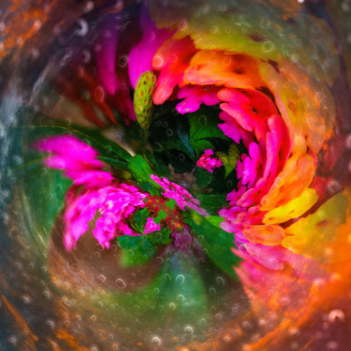 Dawn by Y. Hope Osborn  Image: Garden Expressions
