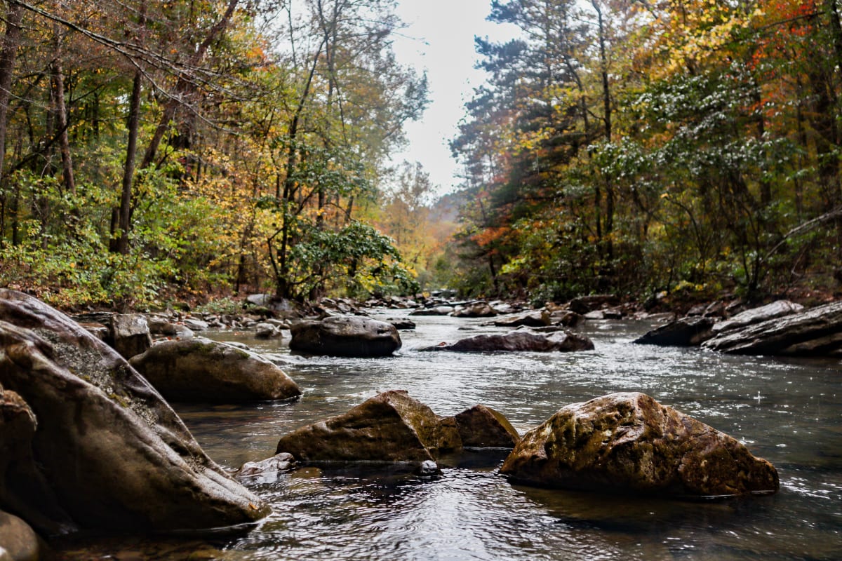 Haw Creek Up and Autumn by Y. Hope Osborn 