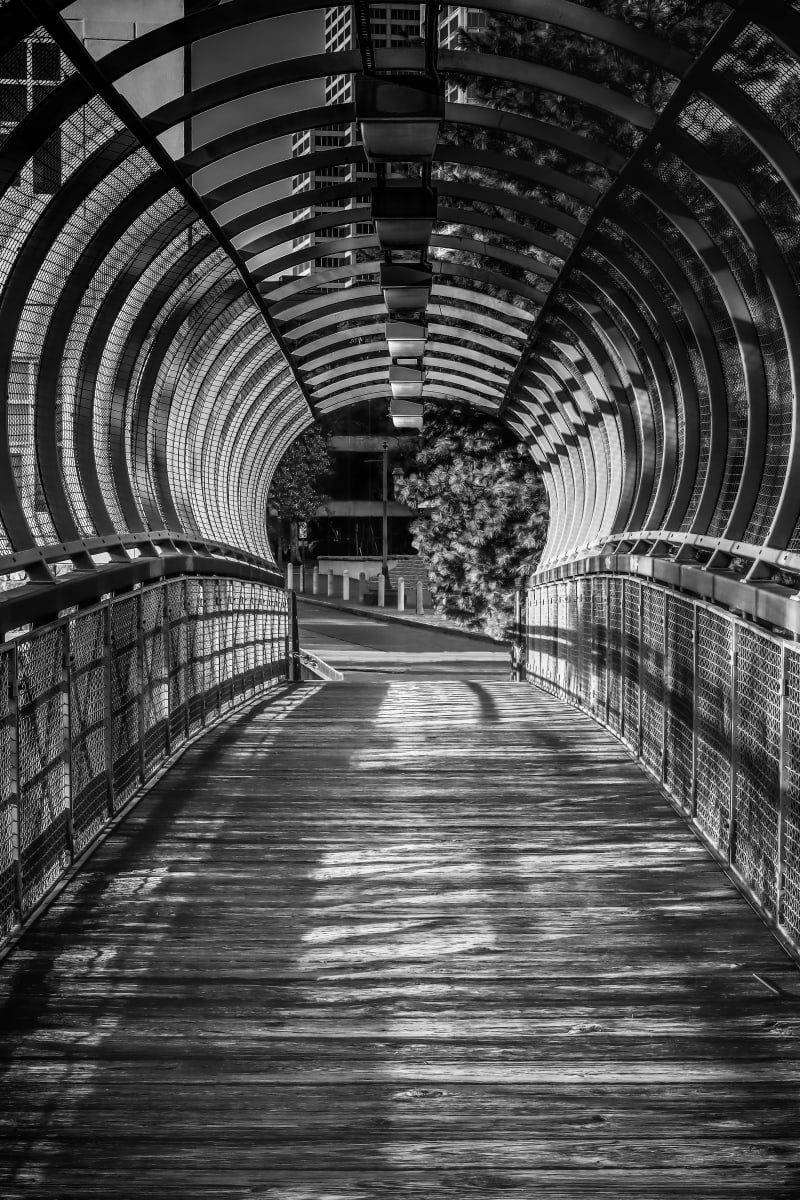 Hypnosis by Y. Hope Osborn 