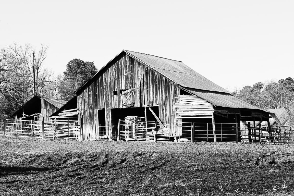 Ranch-hand by Y. Hope Osborn  Image: Honor Guard series