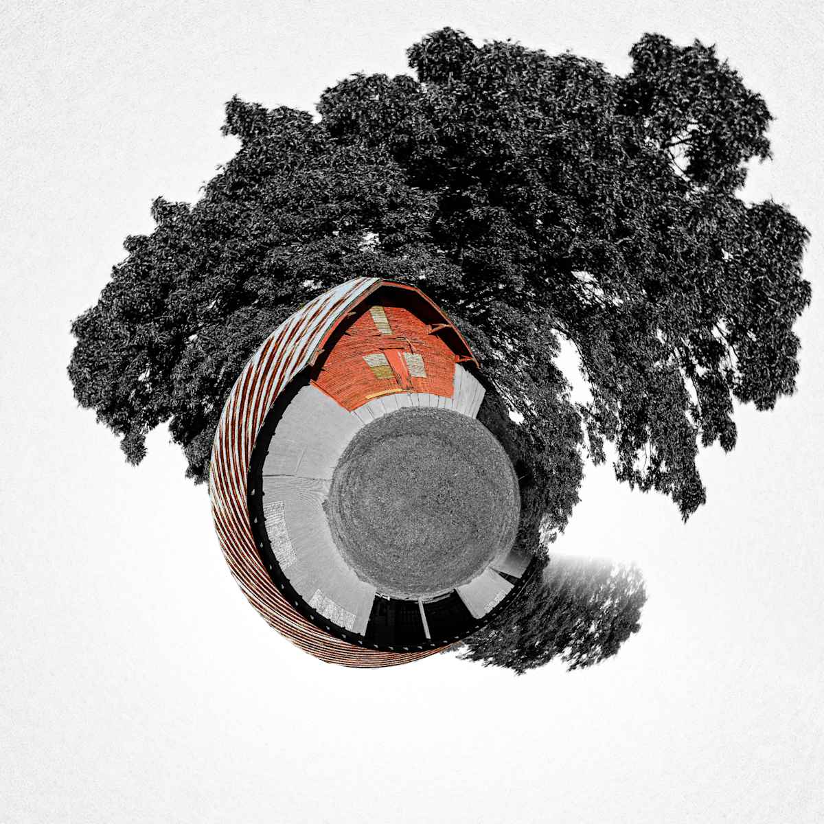 Red by Y. Hope Osborn  Image: Roundup series