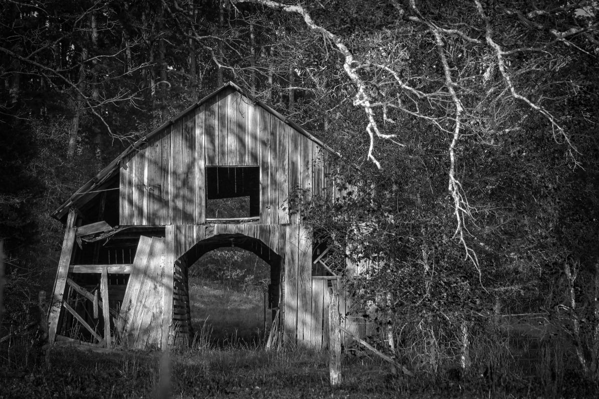Reminiscence 2 by Y. Hope Osborn, Image 1.