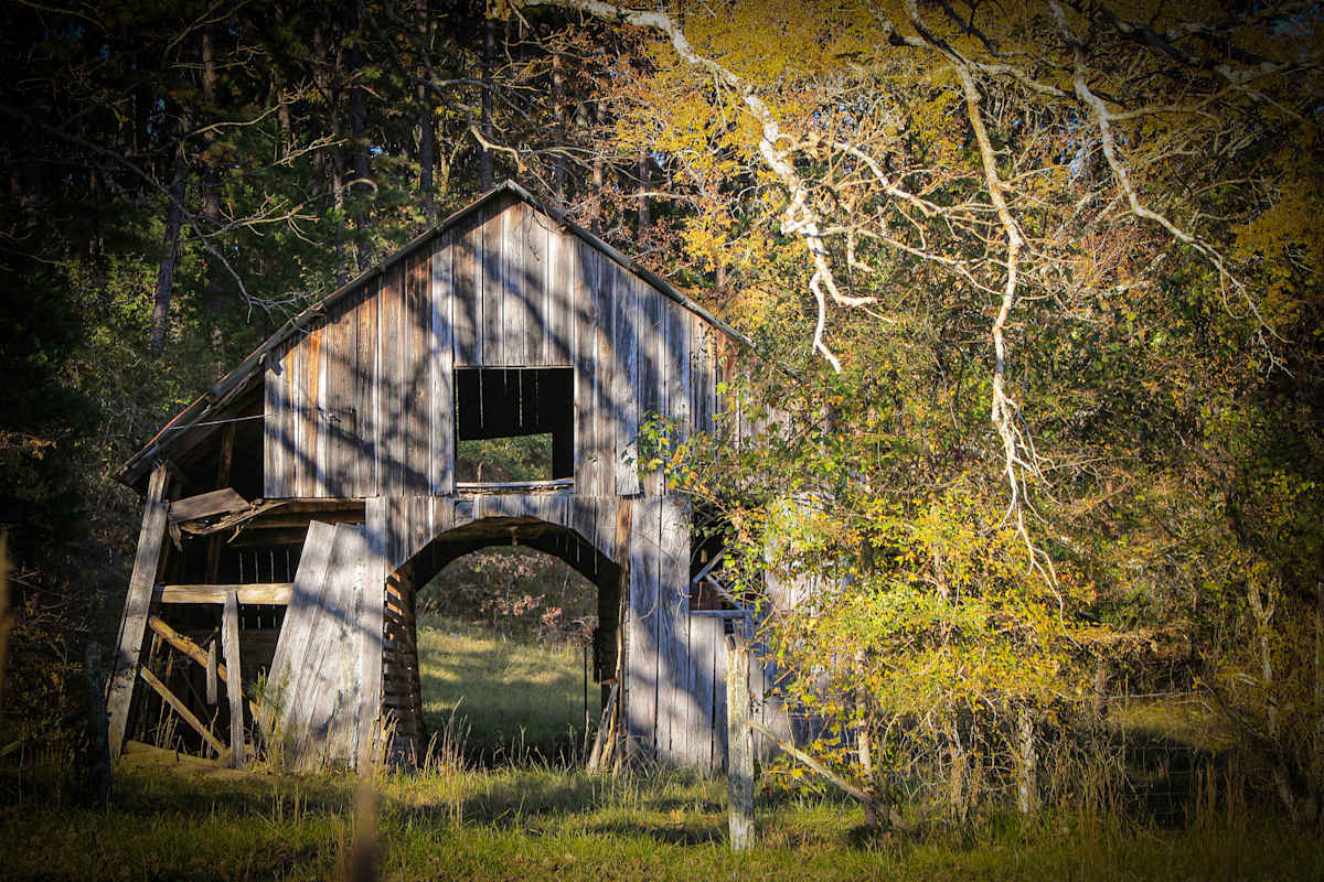 Reminiscence 1 by Y. Hope Osborn, Image 1.