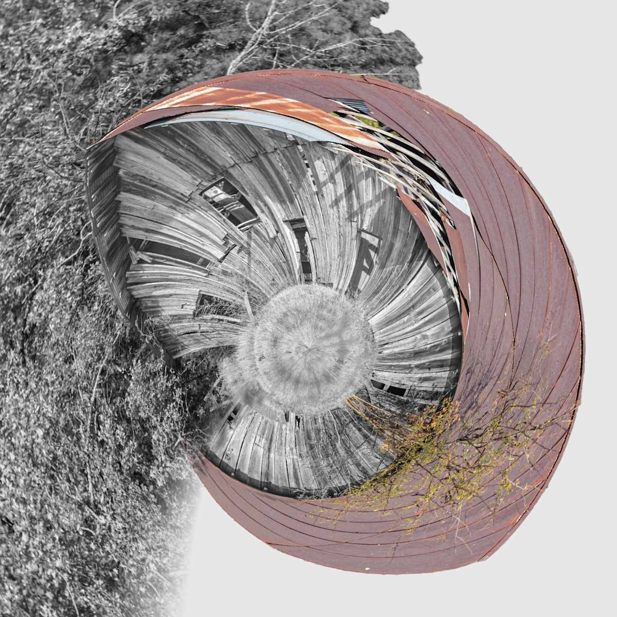 Reticent by Y. Hope Osborn  Image: Roundup series