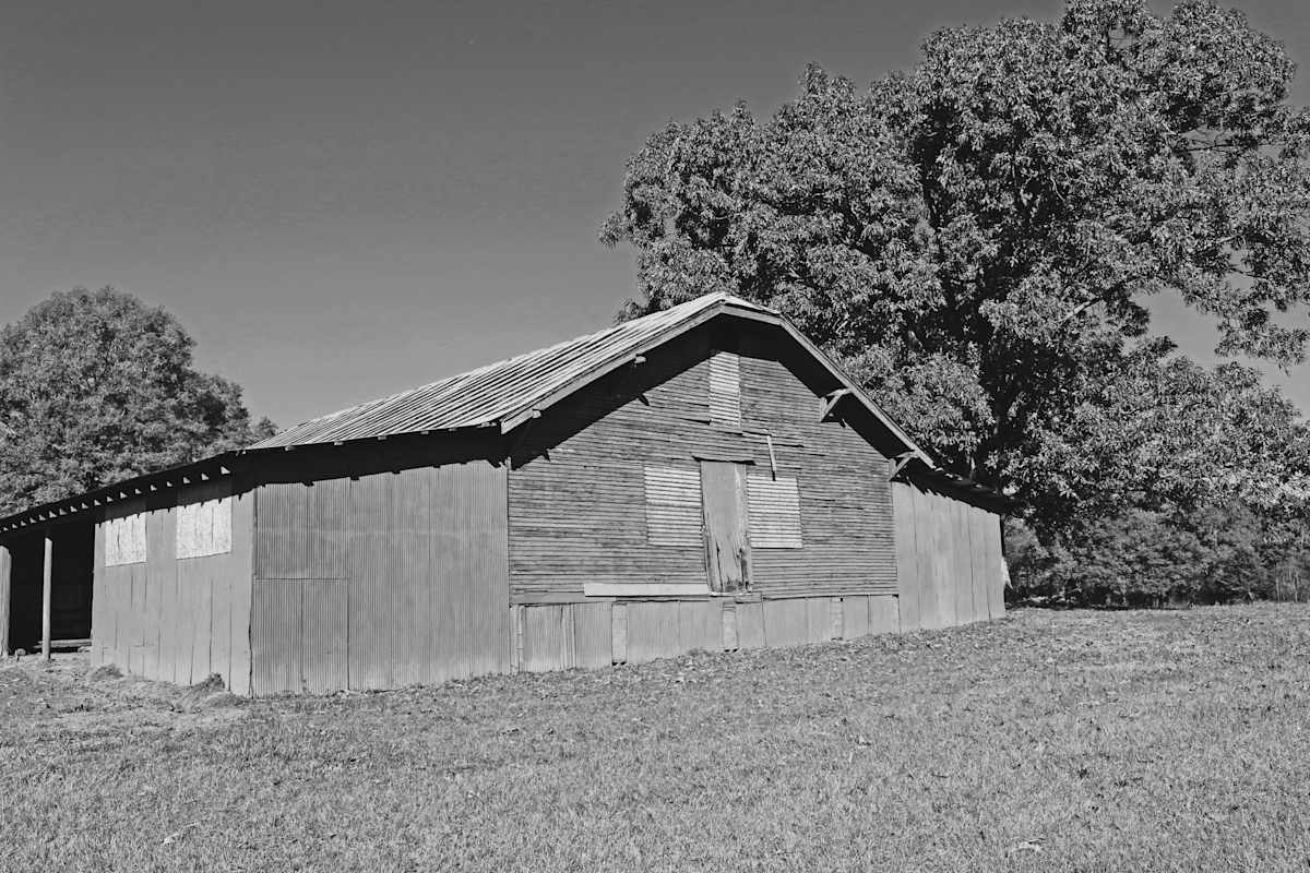 Rustic by Y. Hope Osborn, Image 4.