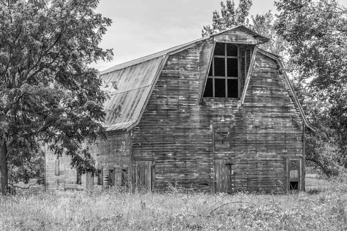 Settler by Y. Hope Osborn 