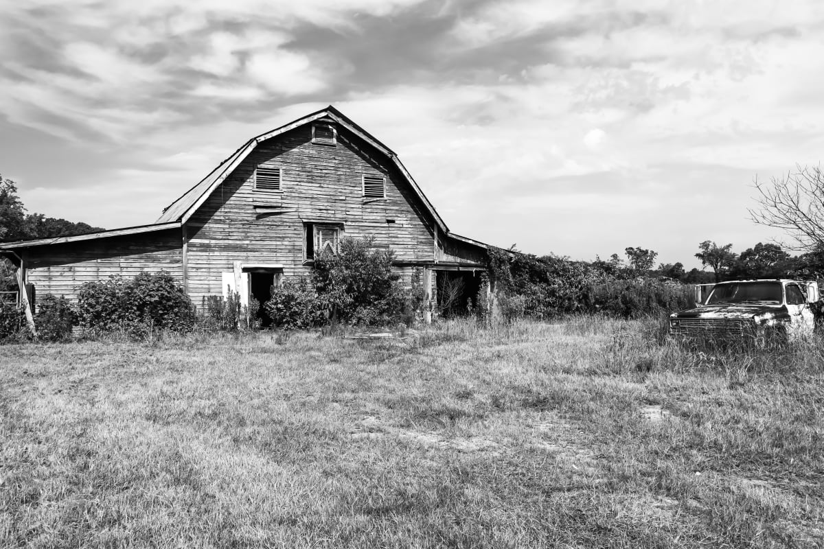 Sharecropper by Y. Hope Osborn  Image: Honor Guard series