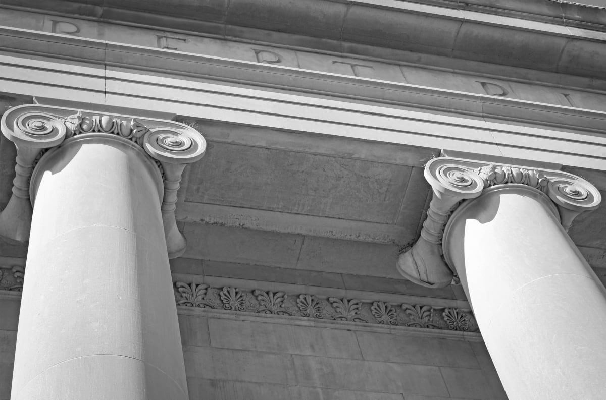 Solidarity by Y. Hope Osborn 