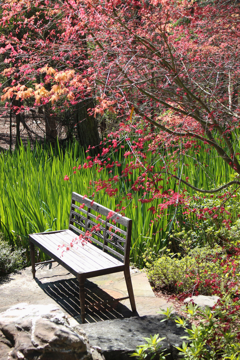 Springtime Contemplation by Y. Hope Osborn, Image 1.