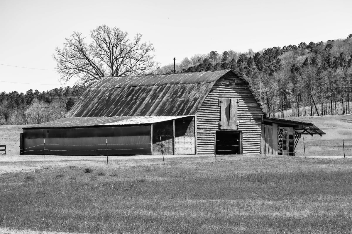 Stronghold by Y. Hope Osborn  Image: Honor Guard Series