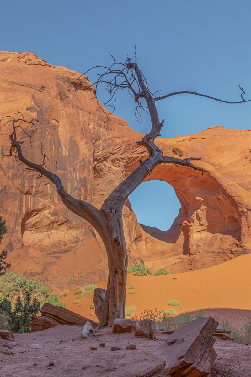Valley of Sculpture by Y. Hope Osborn 