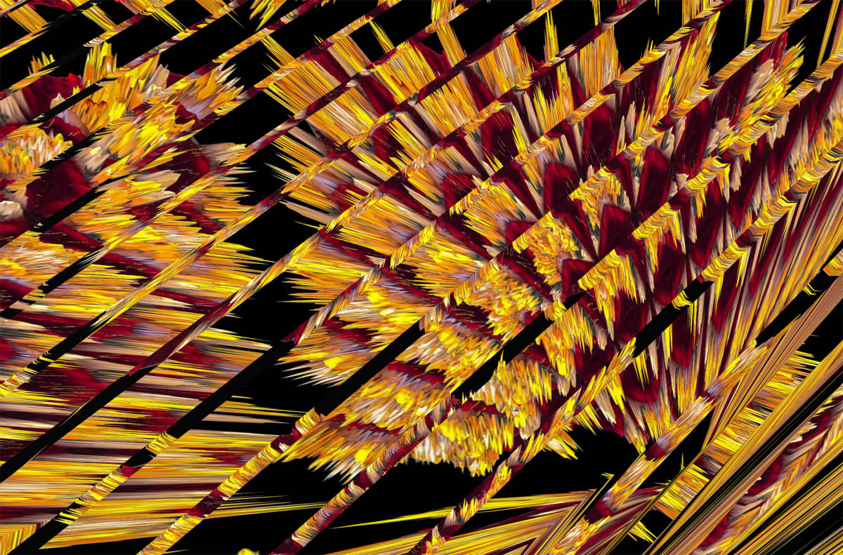 Woven Shards, Image 1.