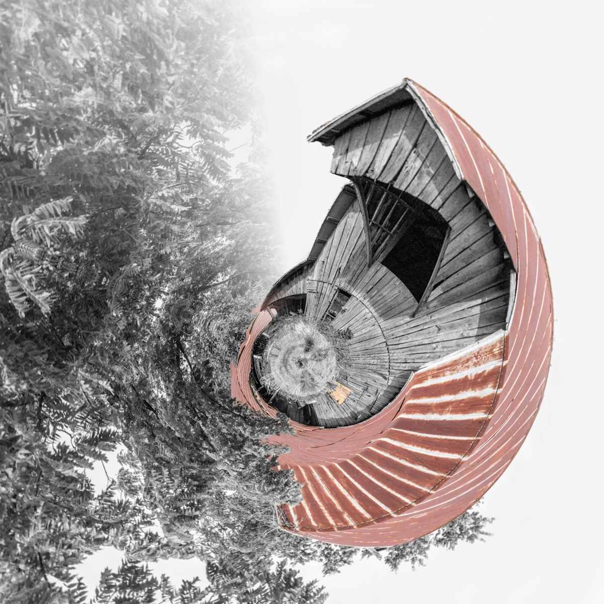 Rooted by Y. Hope Osborn  Image: Roundup series