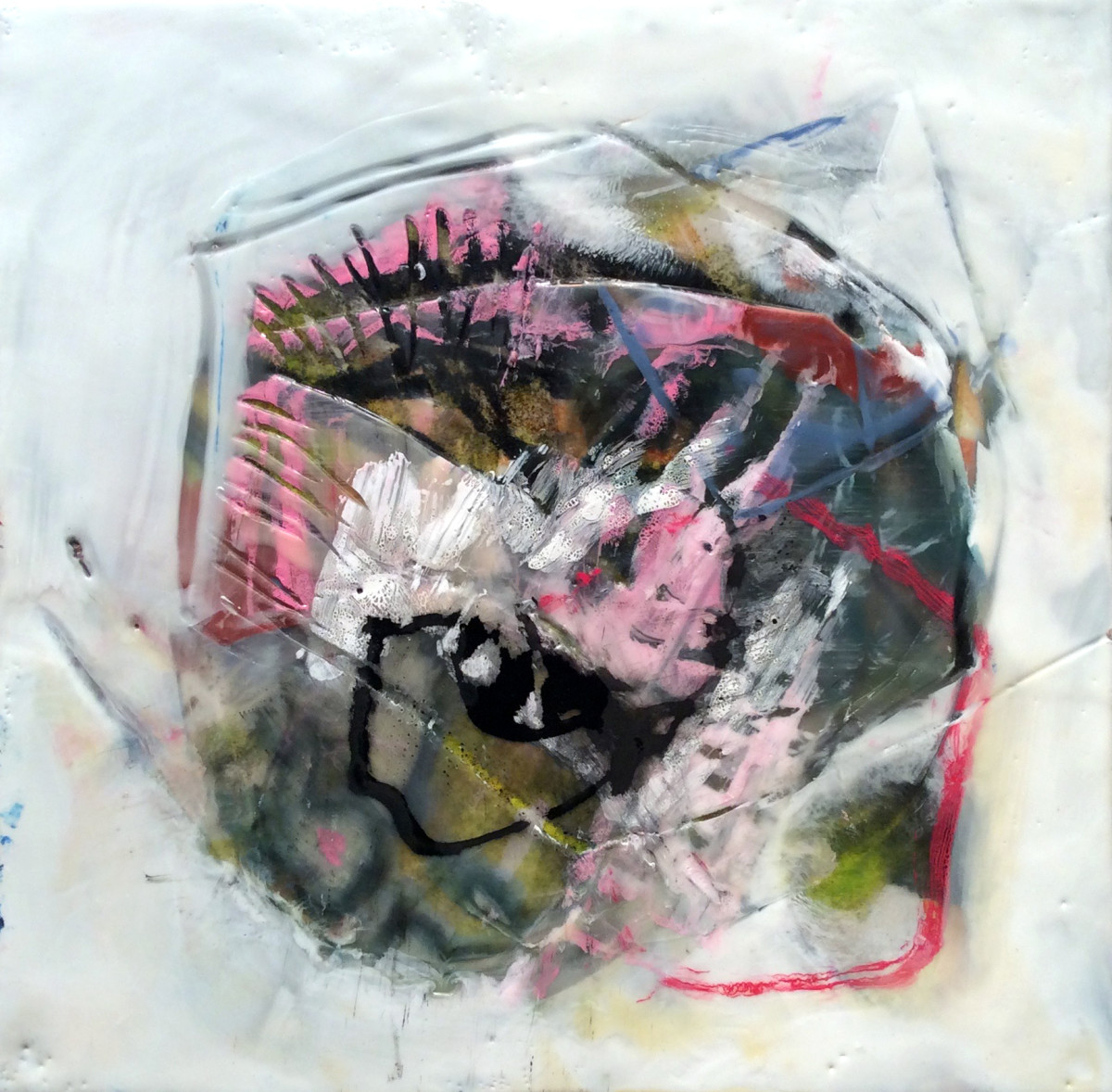 Cats Eye by Dianne Jean Erickson 