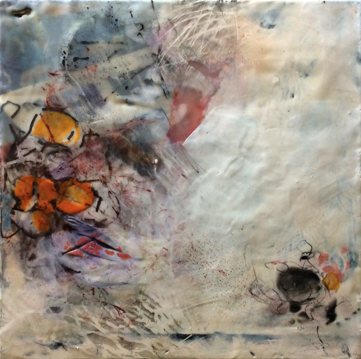 Outlier by Dianne Jean Erickson 