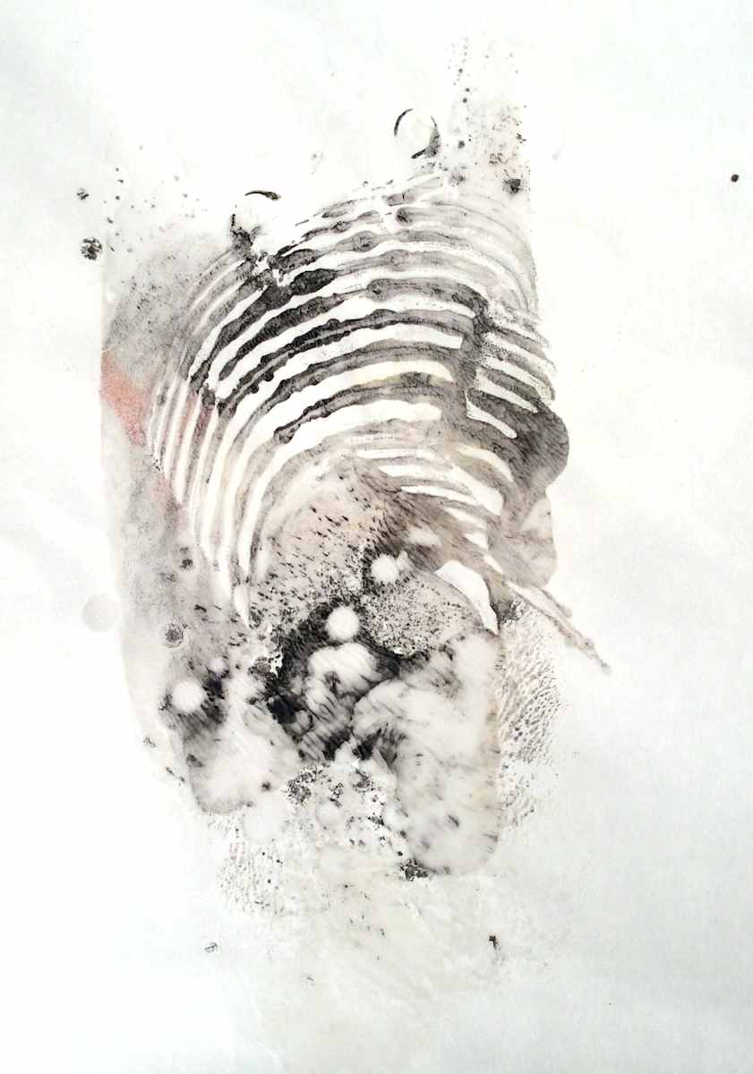 Specimen #6 by Dianne Jean Erickson, Image 1.