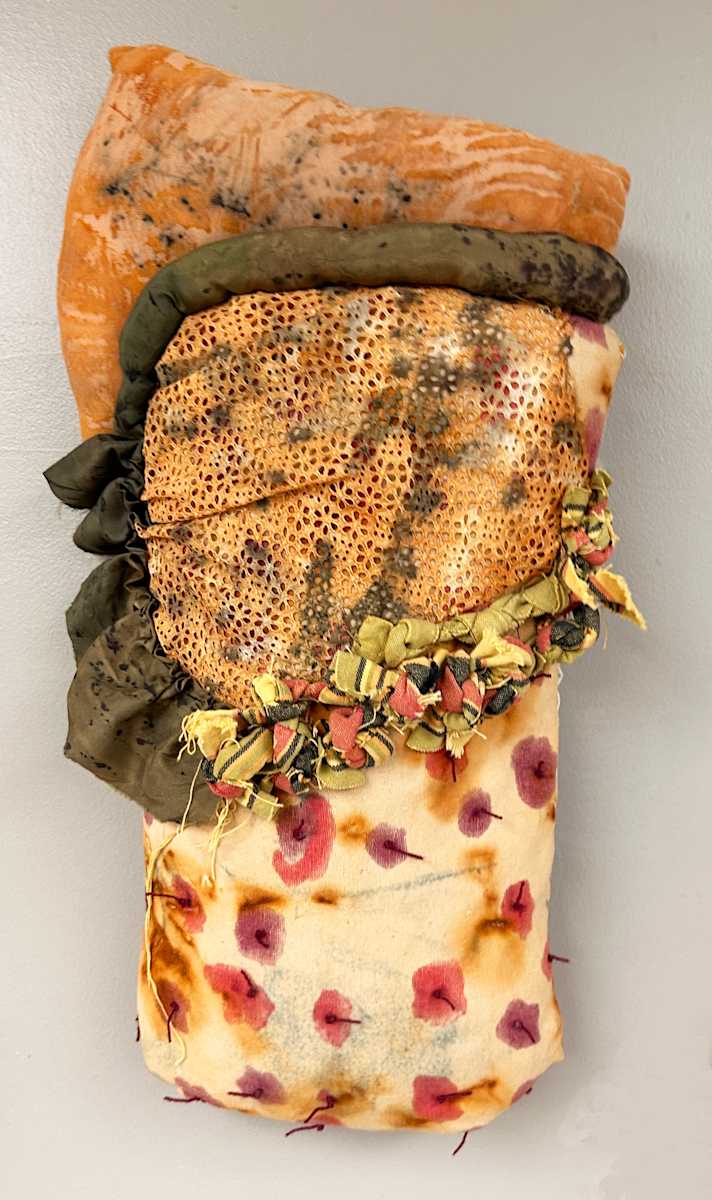 Stuffed #3 by Dianne Jean Erickson 