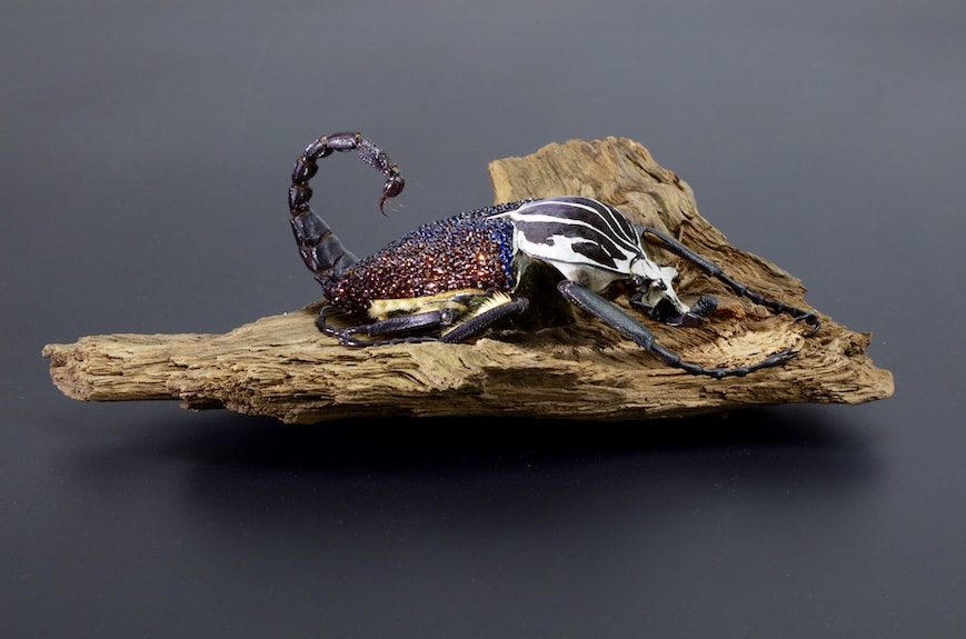 BOHEMAN by Marina della Preda 