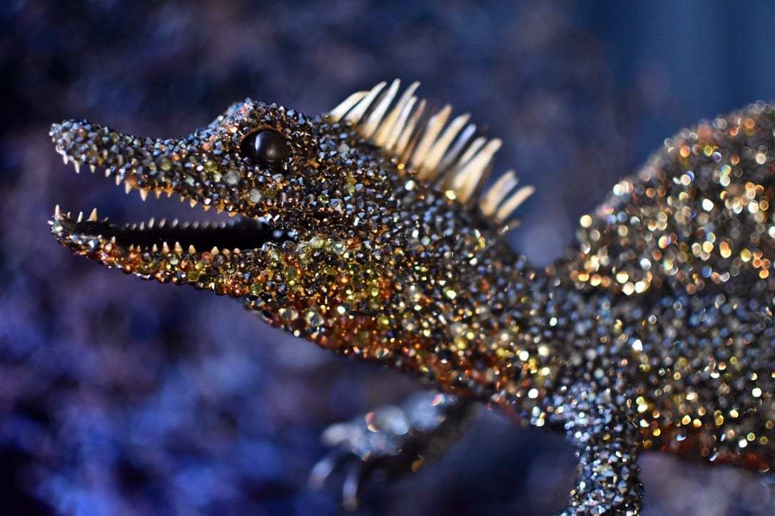 TROODON by Marina della Preda 