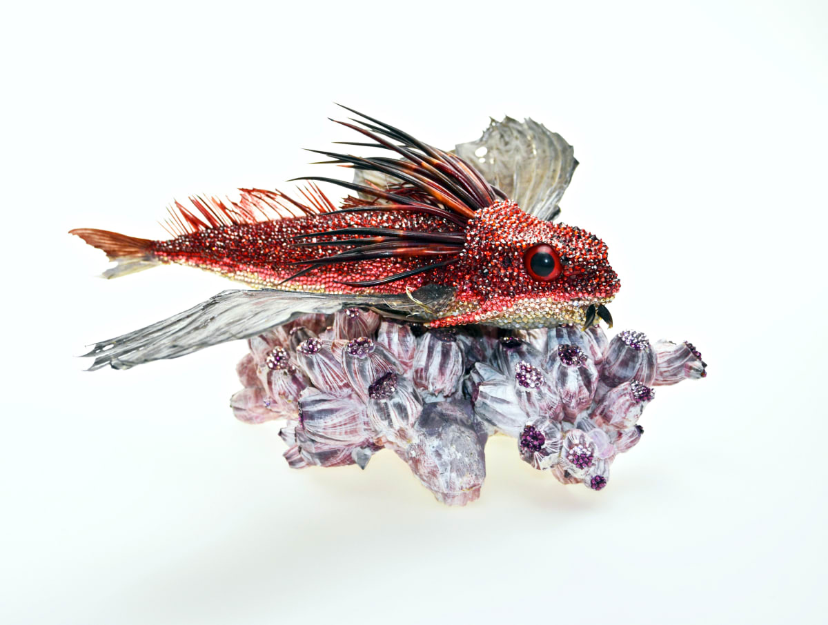 VOLADORAN by Marina della Preda 