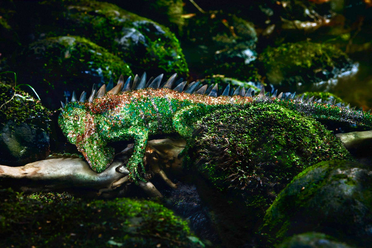 LAGARTO by Marina della Preda, Image 1.