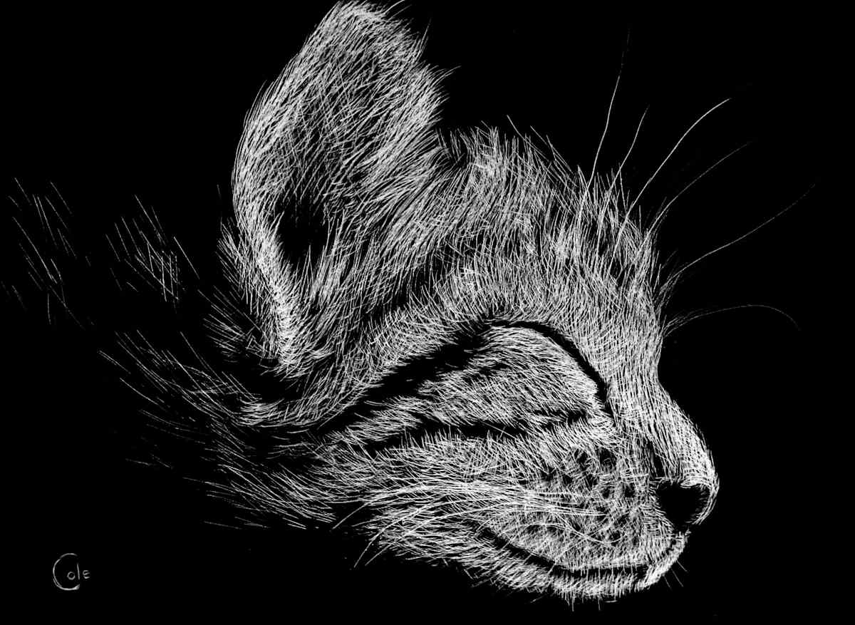 Sleep Through the Day, Image 1.