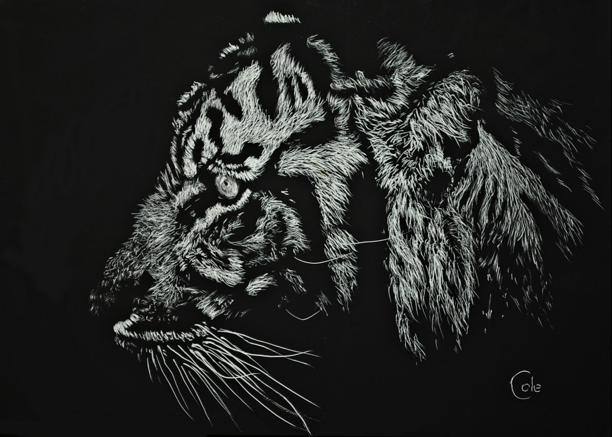The Night Guardian by Nathan Cole, Image 1.