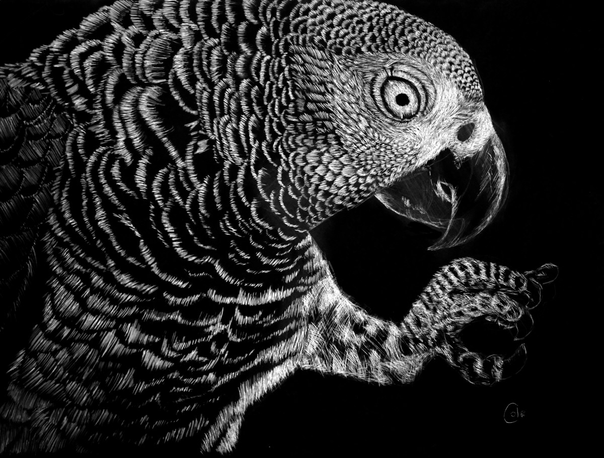 Hidden in the Canopy by Nathan Cole, Image 1.