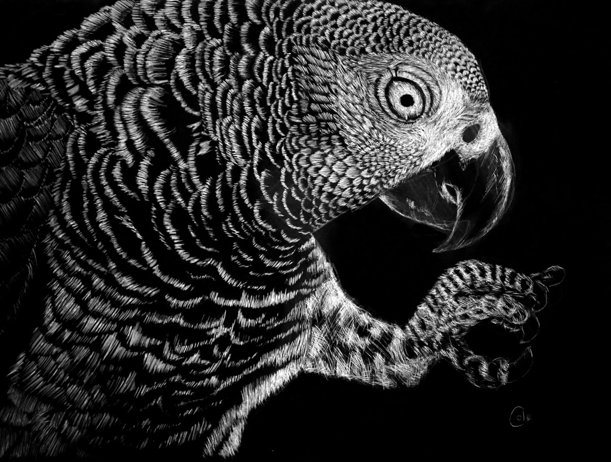 Hidden in the Canopy by Nathan Cole, Image 1.